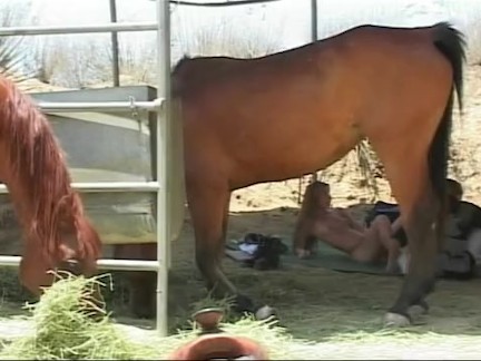 Nailing flat brunette Brandi outdoor