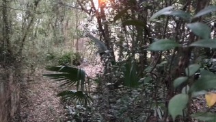 Step Sister Public Suck and Fuck