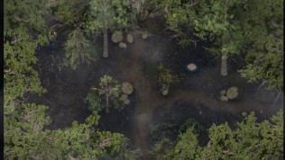 Lust Epidemic – Hot Shower With Sister Part 19 By LoveSkySan69